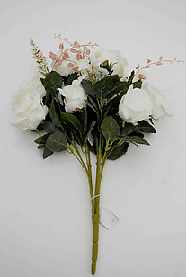 White Spring Roses
