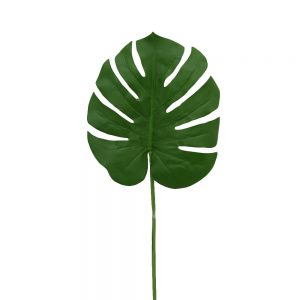 Artifical Leaf